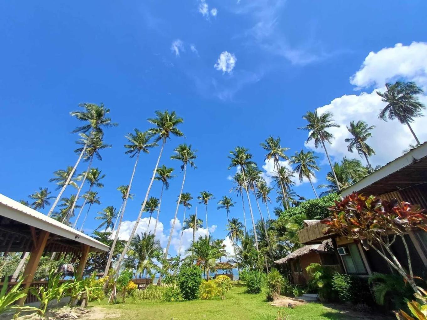 Amihan Beach Hostel San Vicente  Ngoại thất bức ảnh