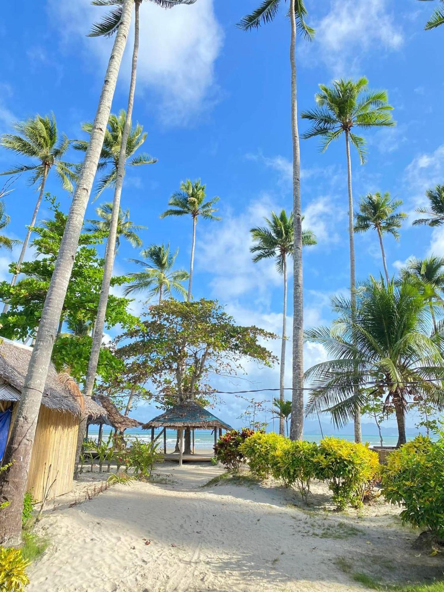 Amihan Beach Hostel San Vicente  Ngoại thất bức ảnh