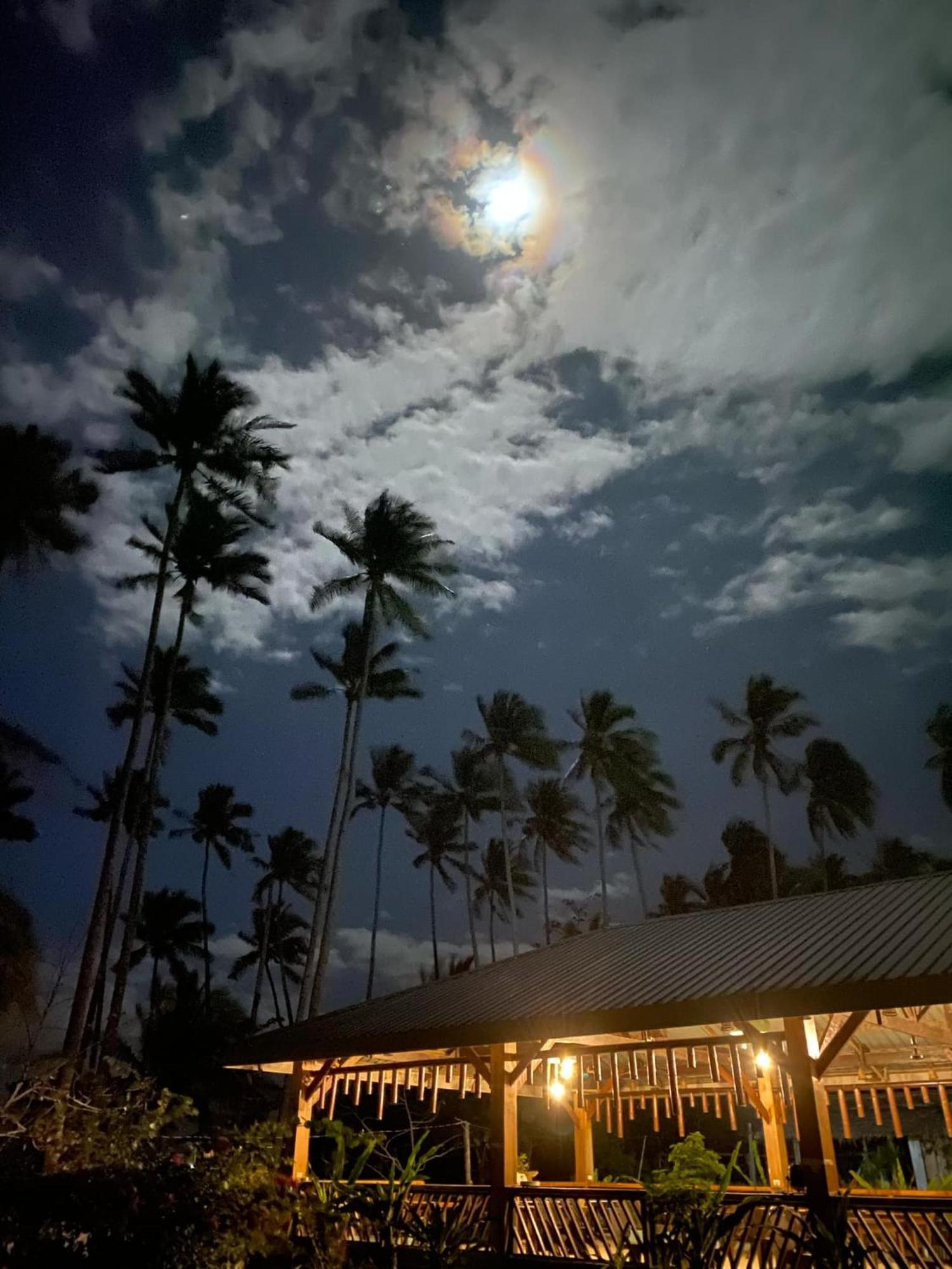 Amihan Beach Hostel San Vicente  Ngoại thất bức ảnh