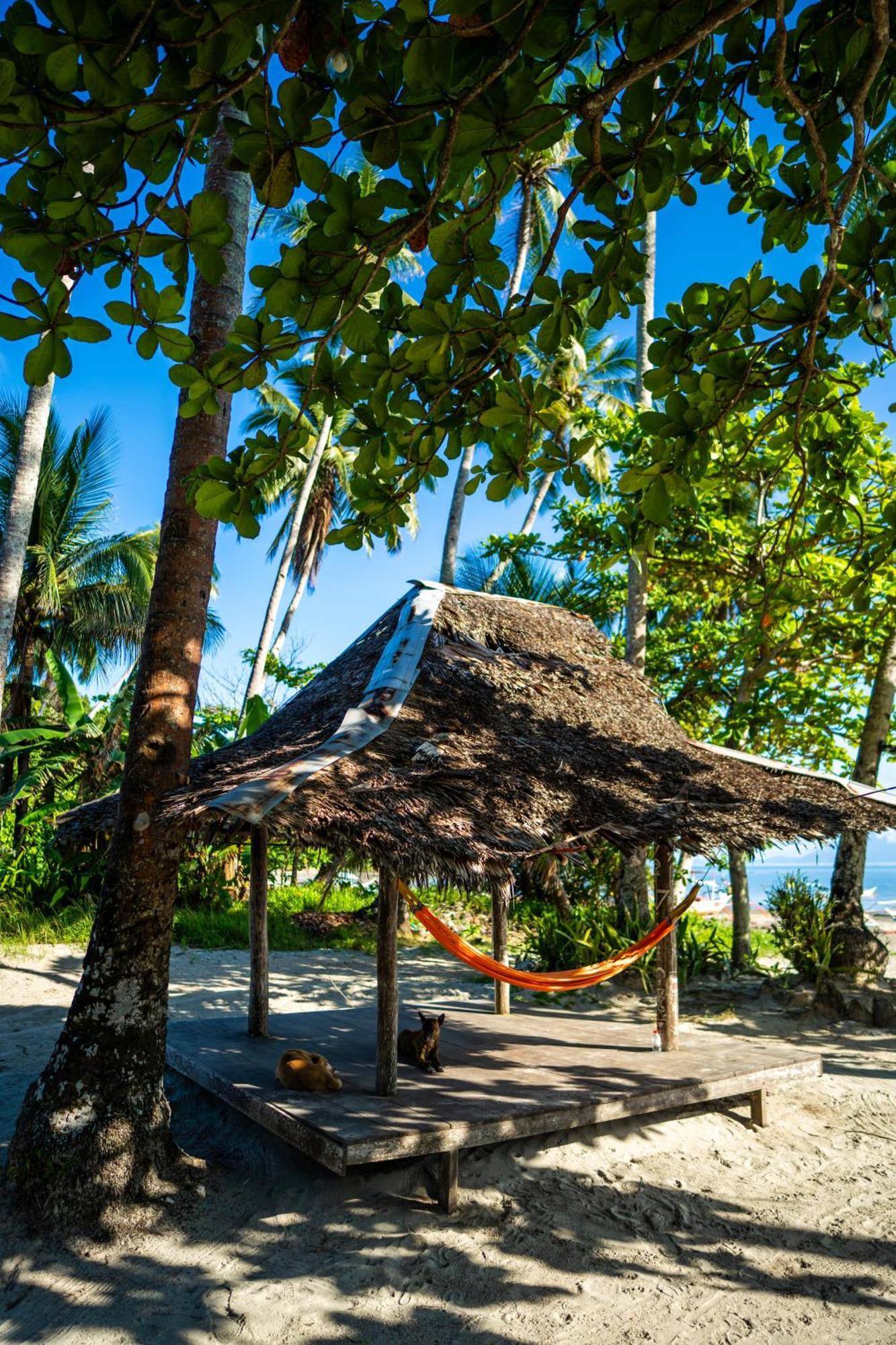 Amihan Beach Hostel San Vicente  Ngoại thất bức ảnh