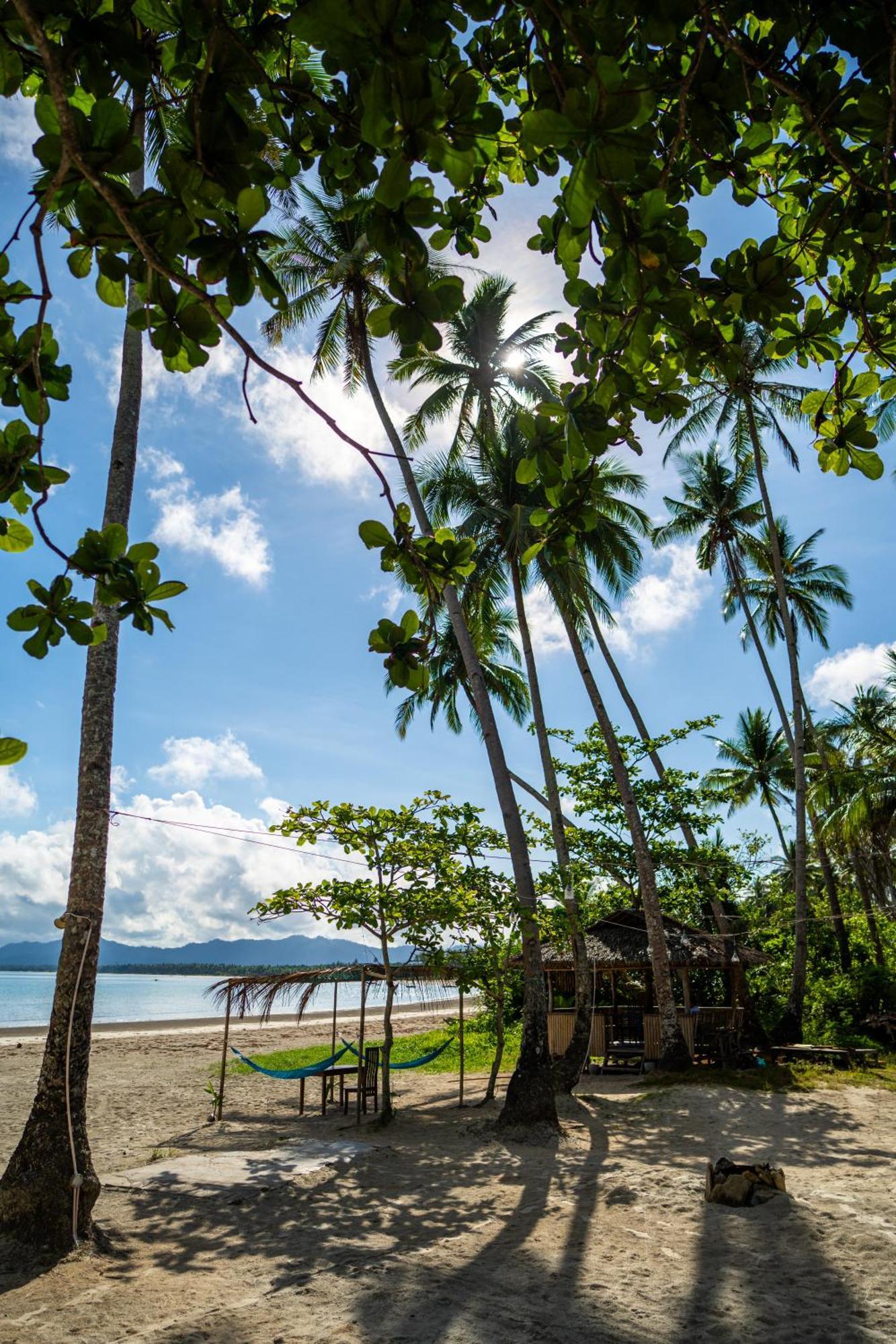 Amihan Beach Hostel San Vicente  Ngoại thất bức ảnh